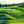 Avatar for GreenOasis